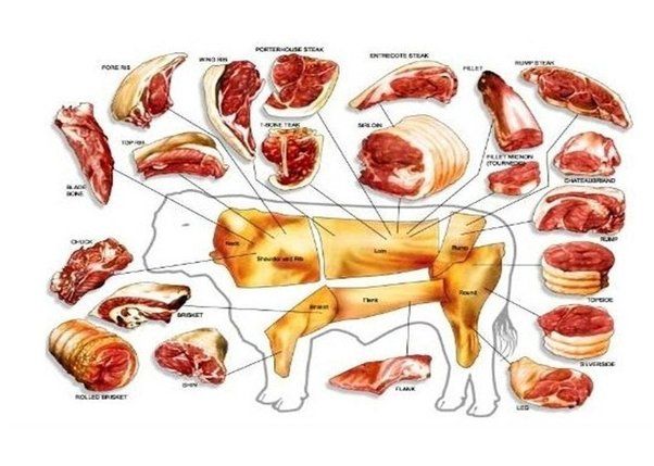Beef cut chart showing chuck, rib, loin, round, brisket, and other primal cuts