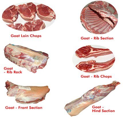 Goat cuts including loin chops, rib section, rib rack, and rib chops