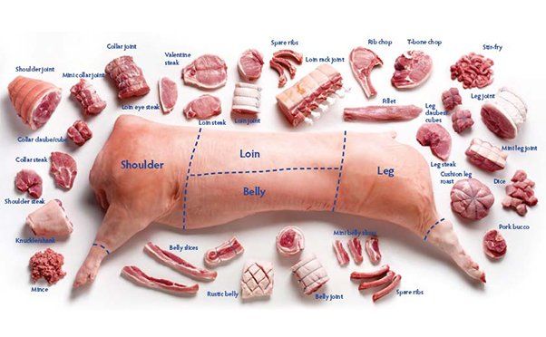 Pork cut chart showing shoulder, loin, belly, and leg cuts